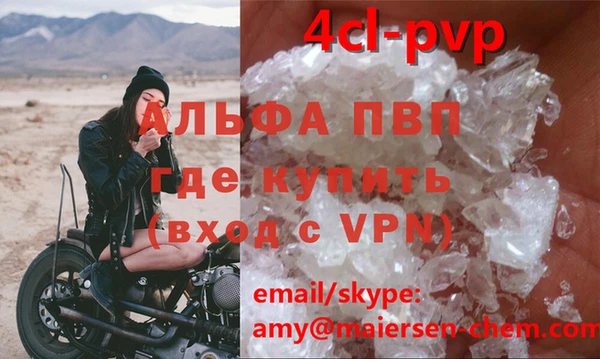 сатива Болхов