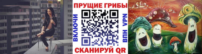 что такое   Новая Усмань  мега как войти  Псилоцибиновые грибы MAGIC MUSHROOMS 
